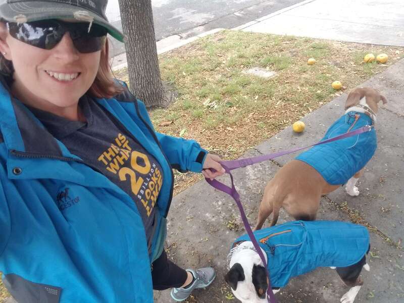 Spirit and Hazel the dogs wearing their rain coats while Jenn snaps a selfie