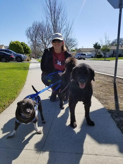 Pepe, Mia and Jenn out for their walks